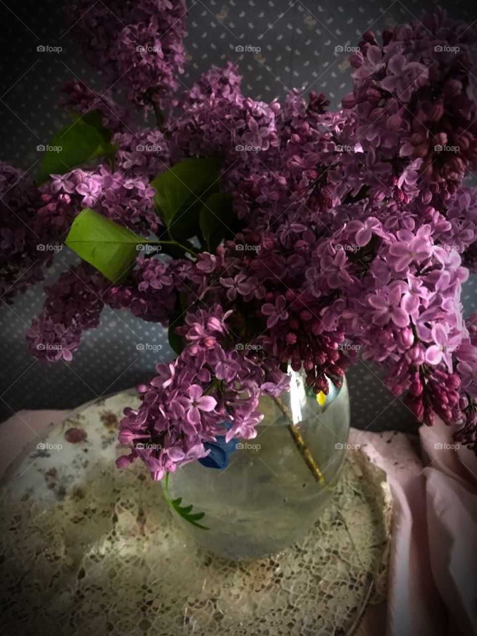 My lilacs 