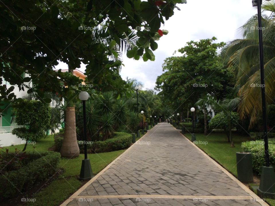 path to our room