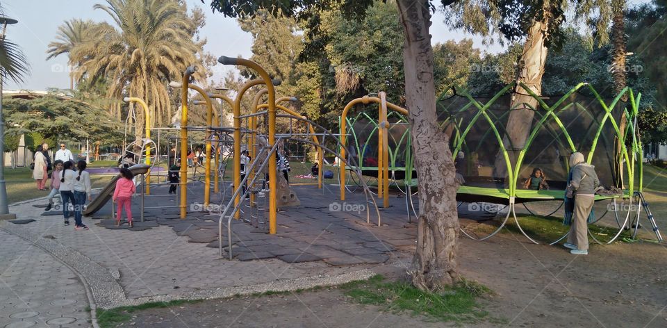 صور منطقة شجرية خيالية تستخدم للتصوير كخلفيات للافراح و مزار راح لمحبي التامل و مشاهدة الجمال الشجري والطبيعة
  Pictures of a fictional tree area used for photography as wedding backgrounds and a shrine for lovers of contemplation and watching tree b