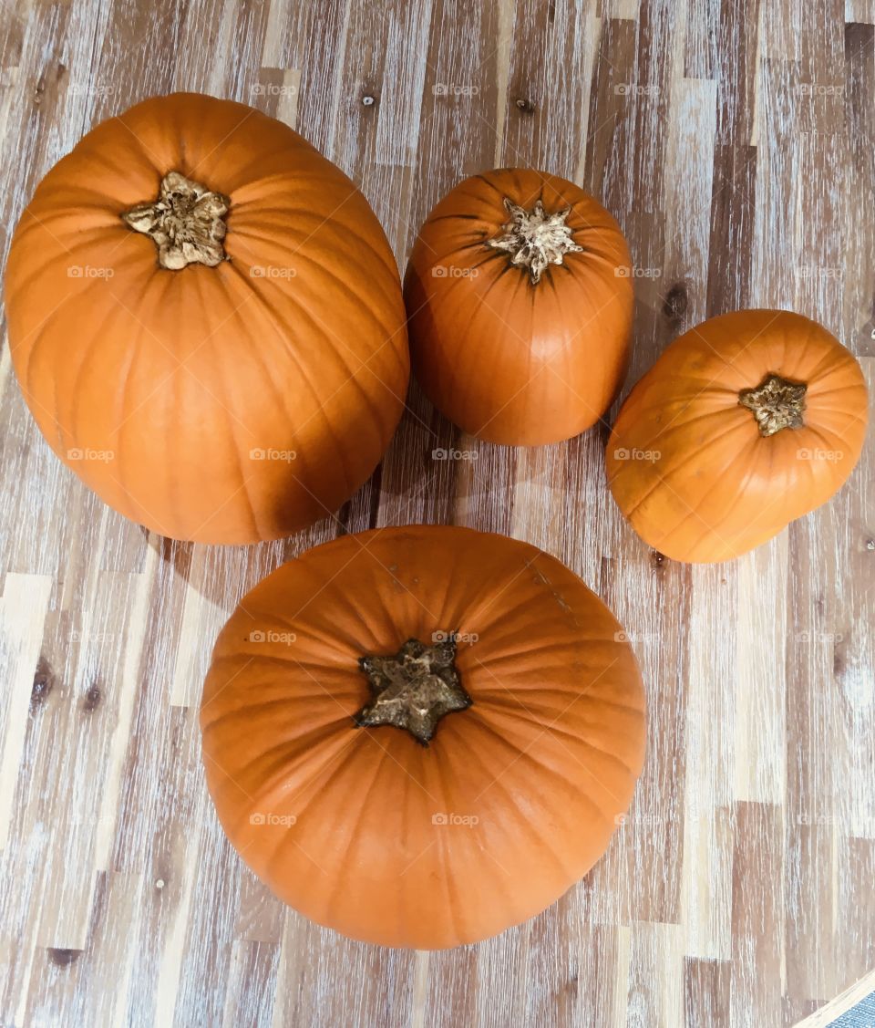 Bird’s eye view of autumnal pumpkins. Wanted it to look a little like a paw print. Set upon a rustic table, warm, country living vibes.