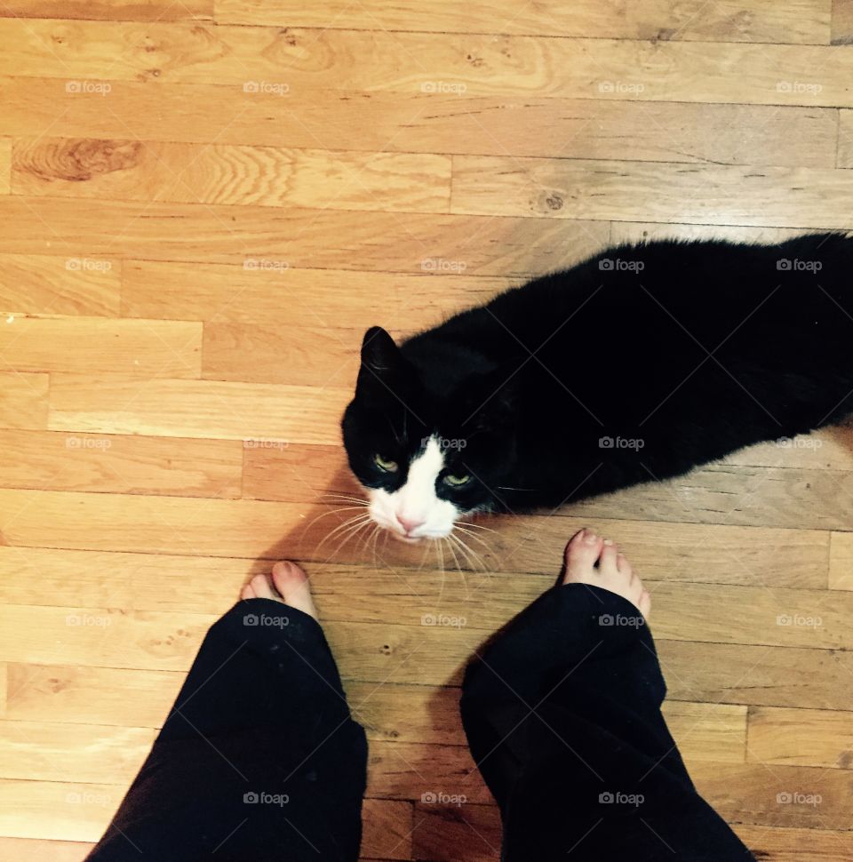 Cat at my feet