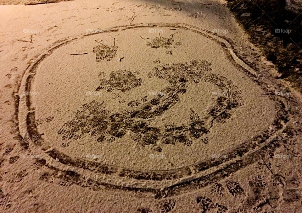 Face in the snow 