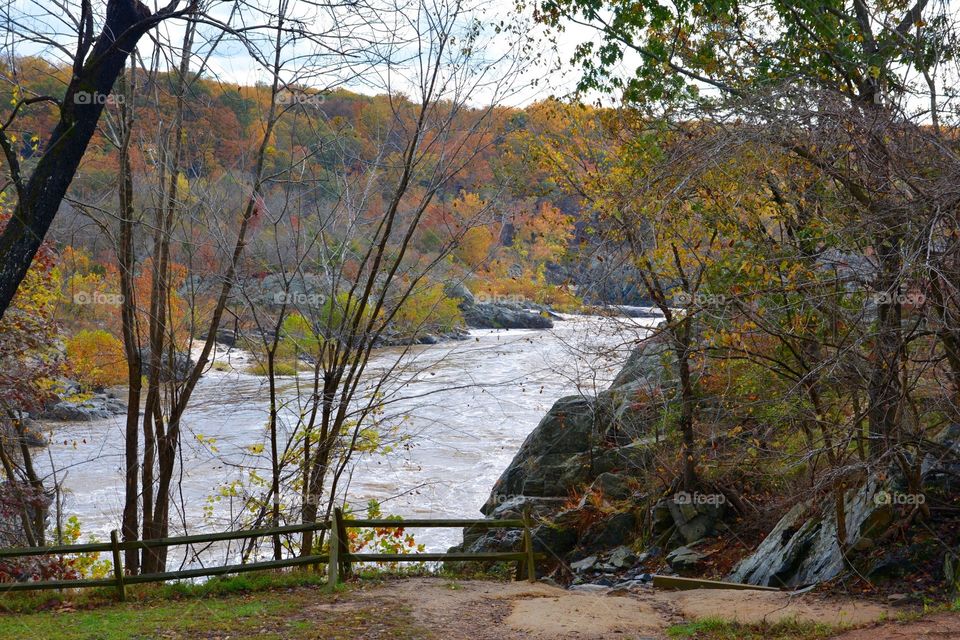 Potomac River in Autumn