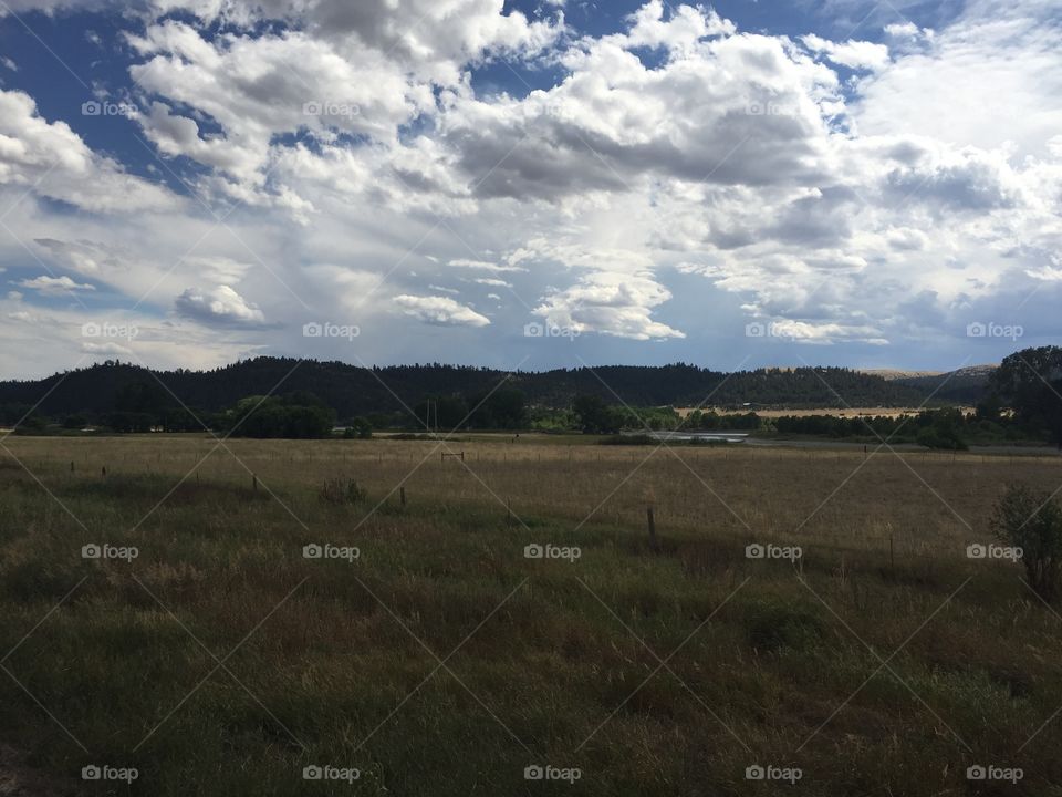 Landscape, No Person, Tree, Cropland, Sky