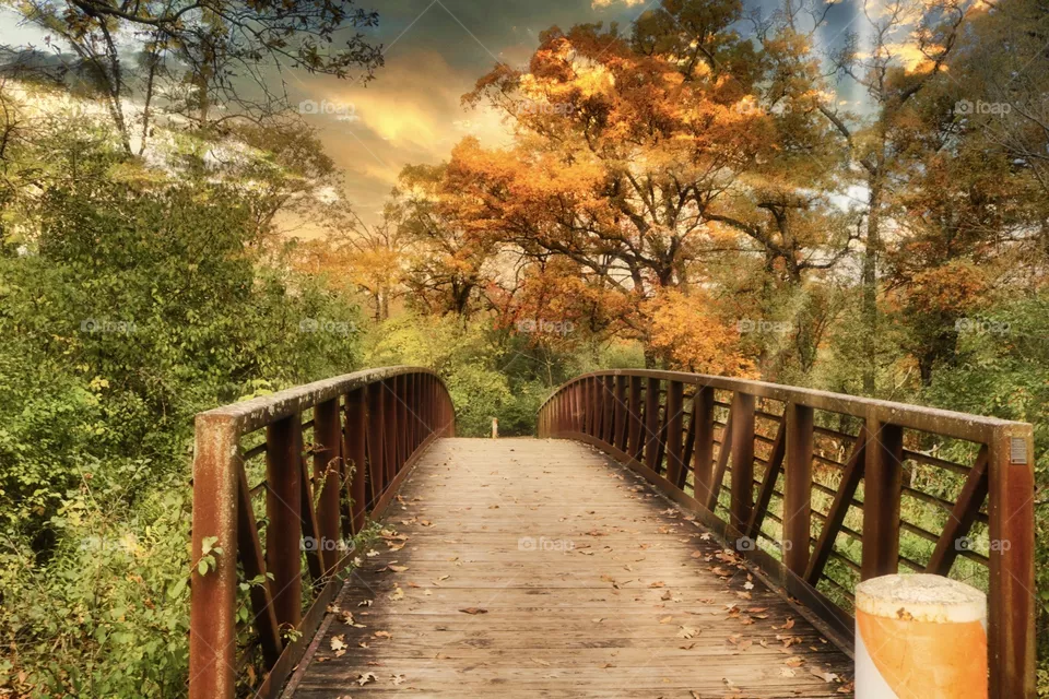 Burn your bridges 