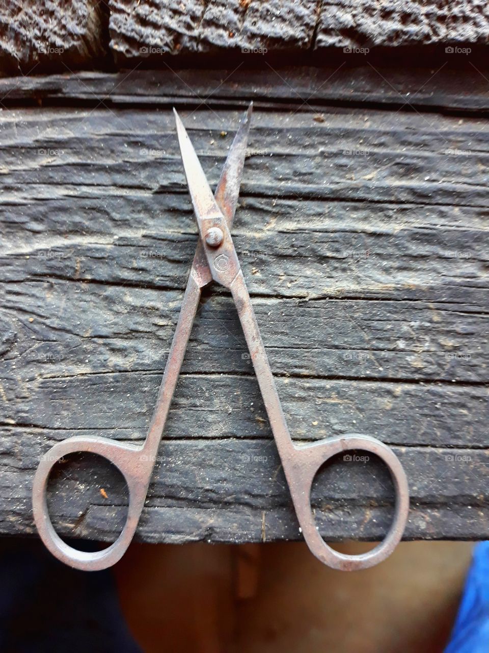 old#scissors#