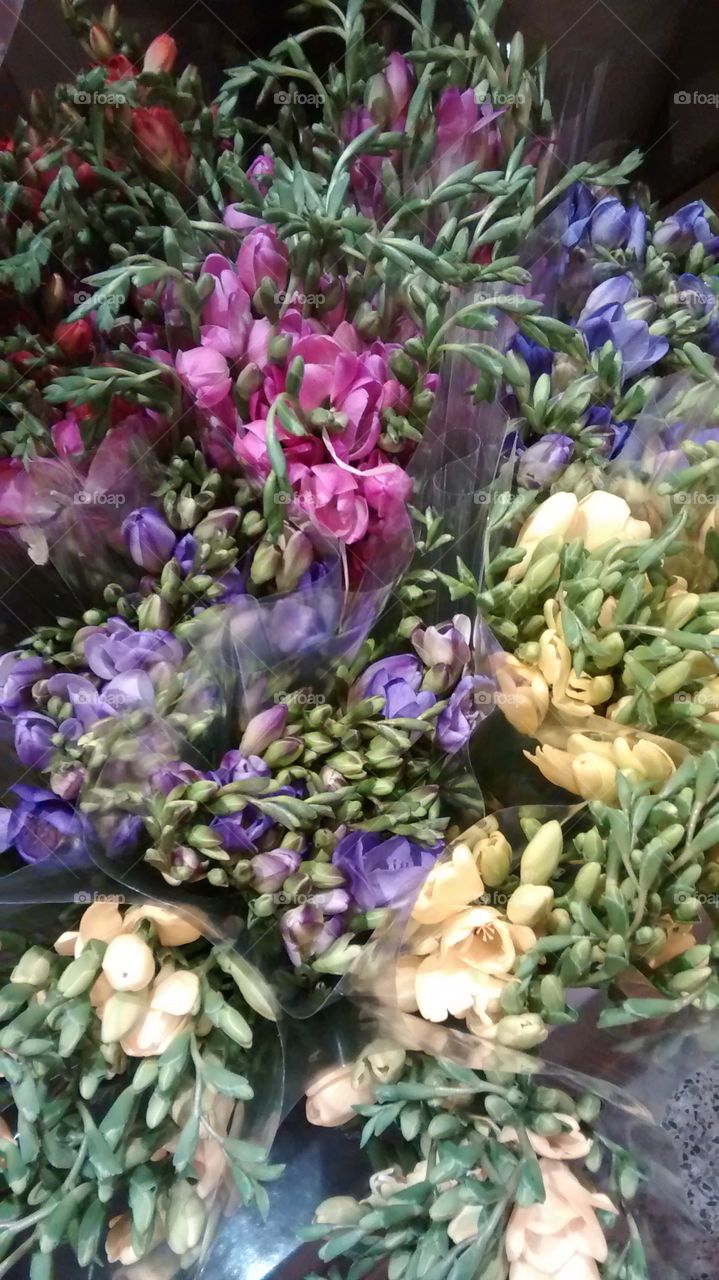 Floral Arrangement. NYC Grand Central