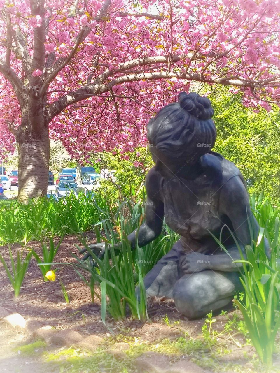 Statue if young woman seemingly picking flower beneath pink flowering cherry tree in springtime