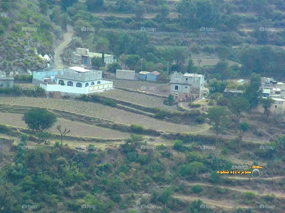 A stunning view of green mountains covered in fog in Yemen