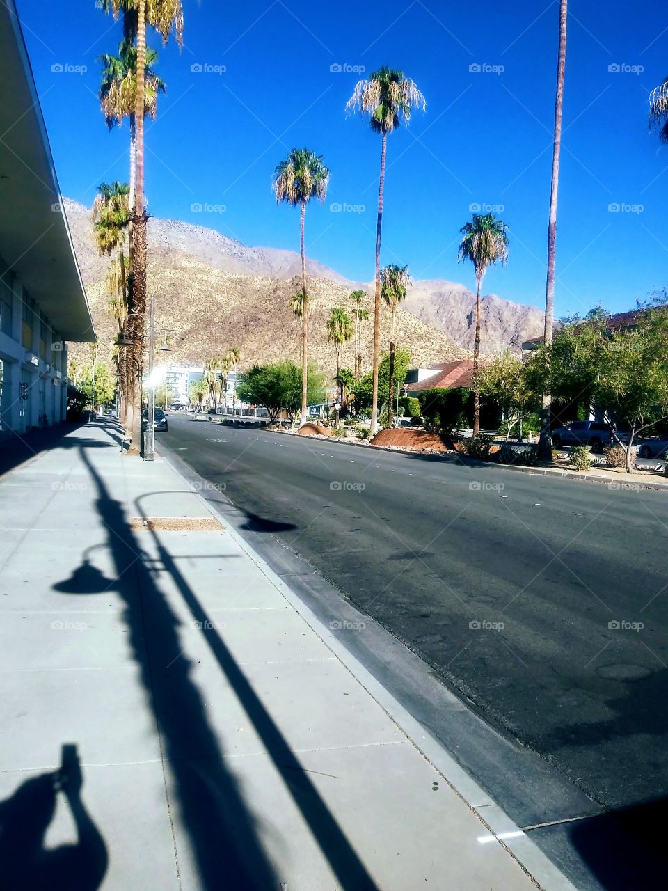 Sunny Palm Springs