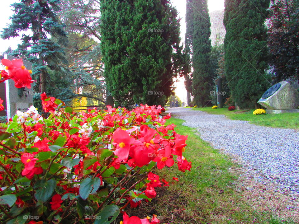 This is a park in Bergamo where people usually have rest