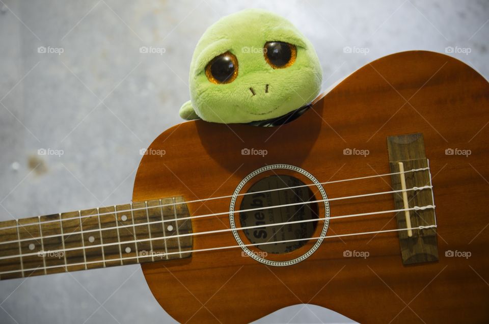 tartaruga e ukulele