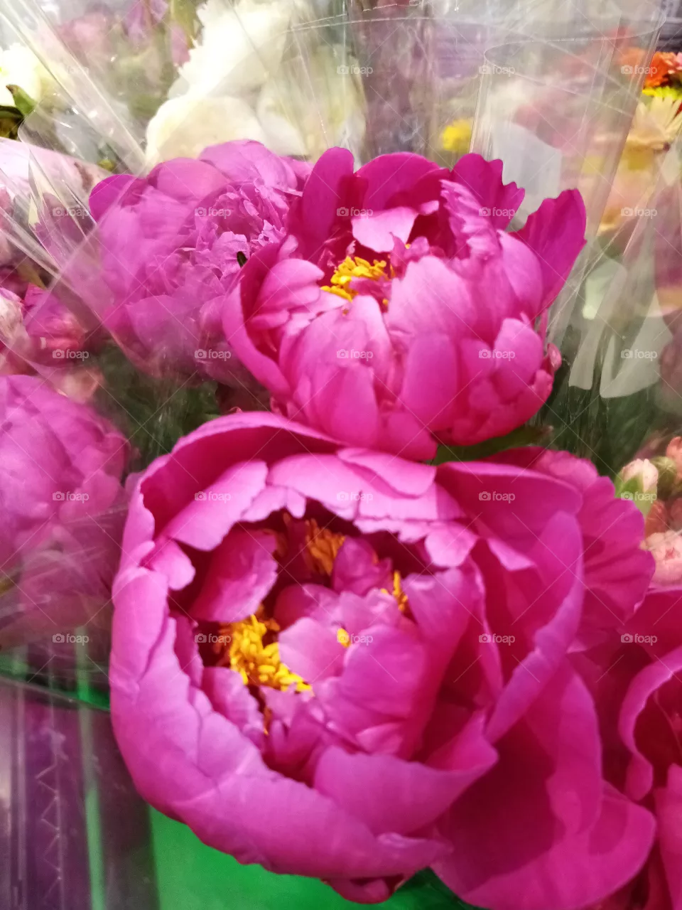 Blumen