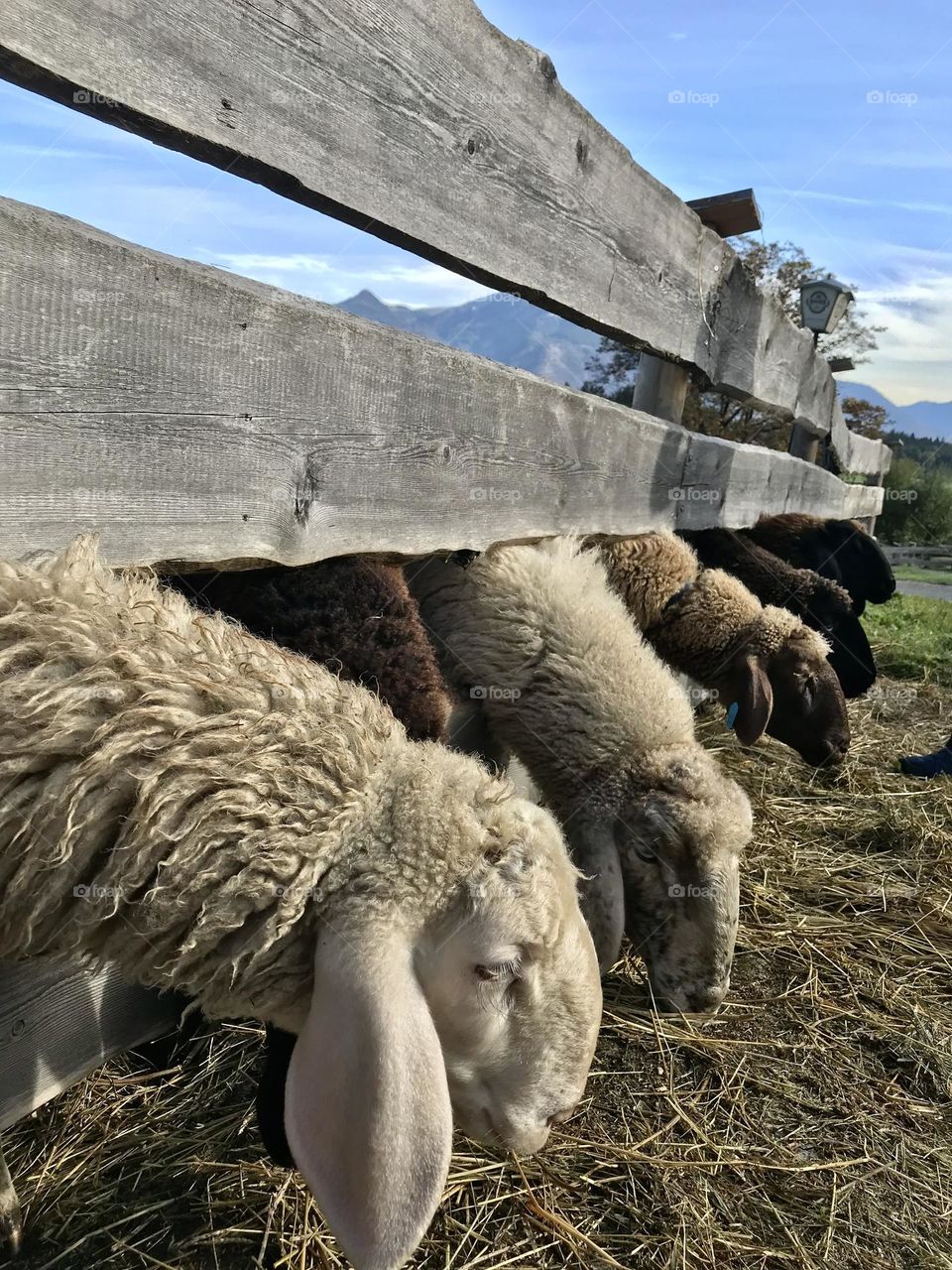 Just me and my friends