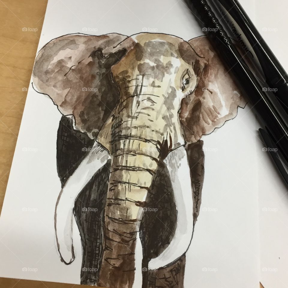 Drawing Elephant 