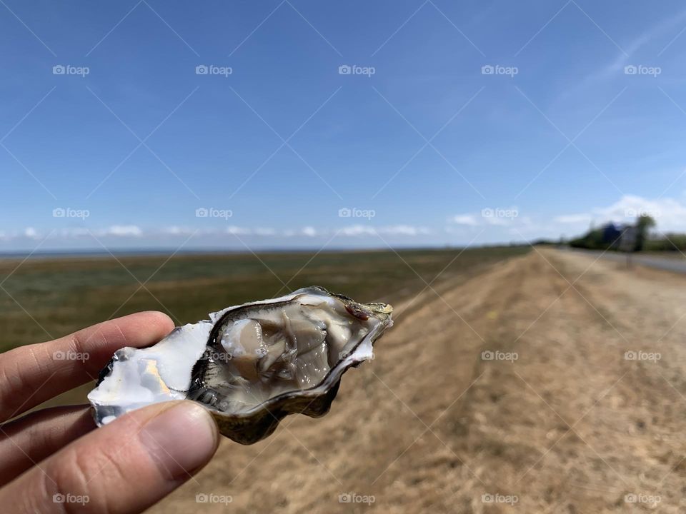 Editor’s Choice: Photo of the Week