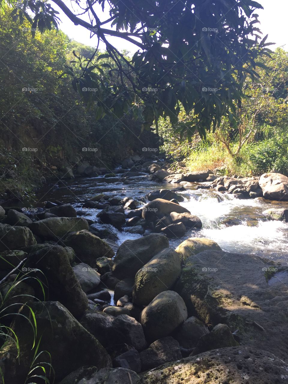 Water, No Person, Nature, River, Travel