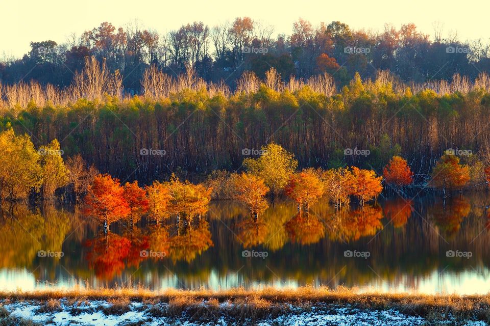 The reflection on still water