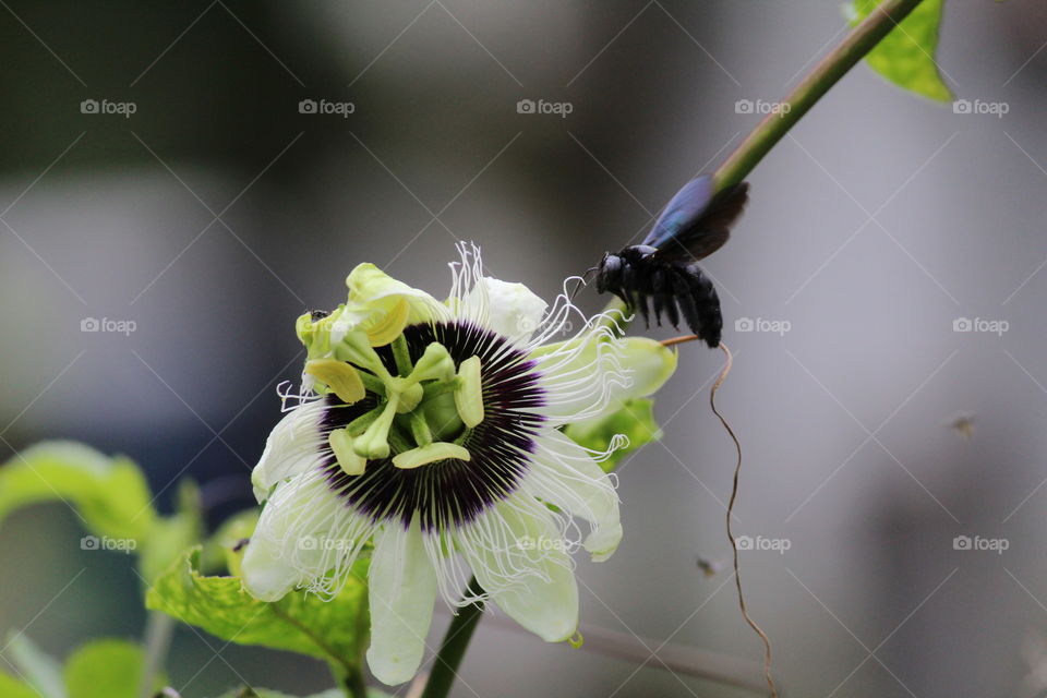 My colleagues of work, my job, my life