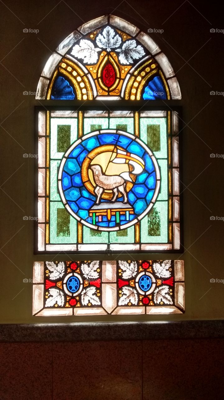 Um lindo vitral da Catedral Nossa Senhora do Desterro (Jundiaí - SP). Aqui: Jesus Cristo, o Cordeiro de Deus!