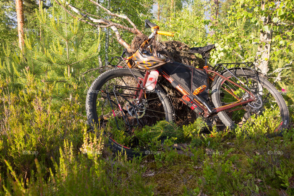 Taipalsaari, Finland – July 1, 2015: Adventure bike with mountain bike and touring bike capabilities in the lush forest in Eastern Finland.