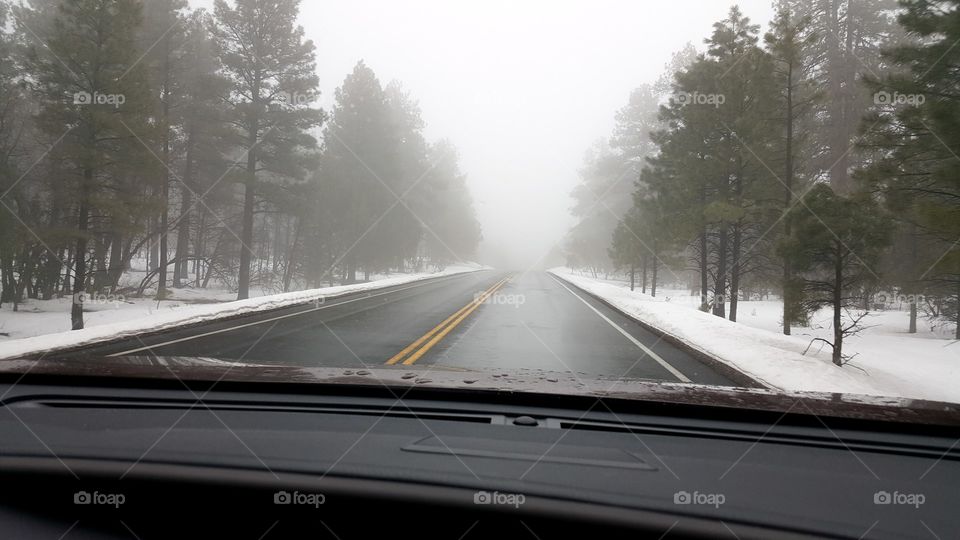 Roadway in the Grand Canyon
