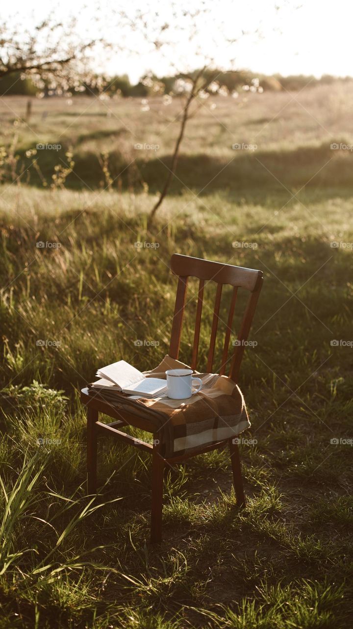 makeshift reading desk in the middle of a wild field