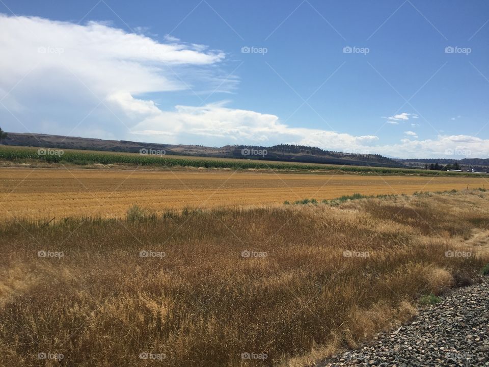 Landscape, No Person, Field, Sky, Agriculture