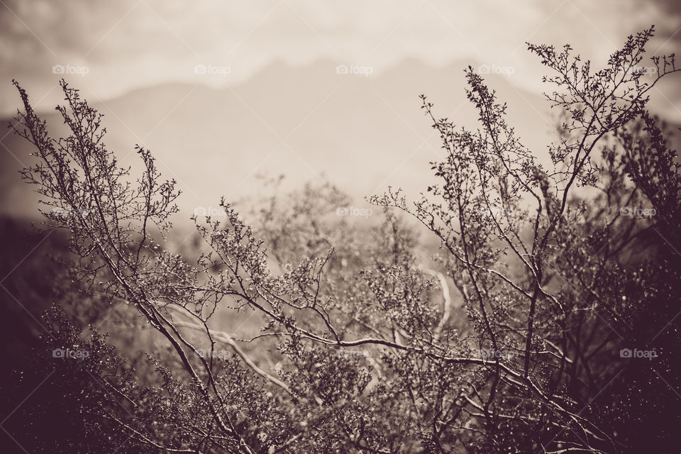 Four Peaks. Hiking the lower Salt River