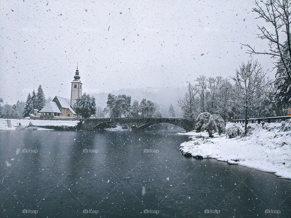 View of snowfall over the river and snow-covered Christmas trees in winter