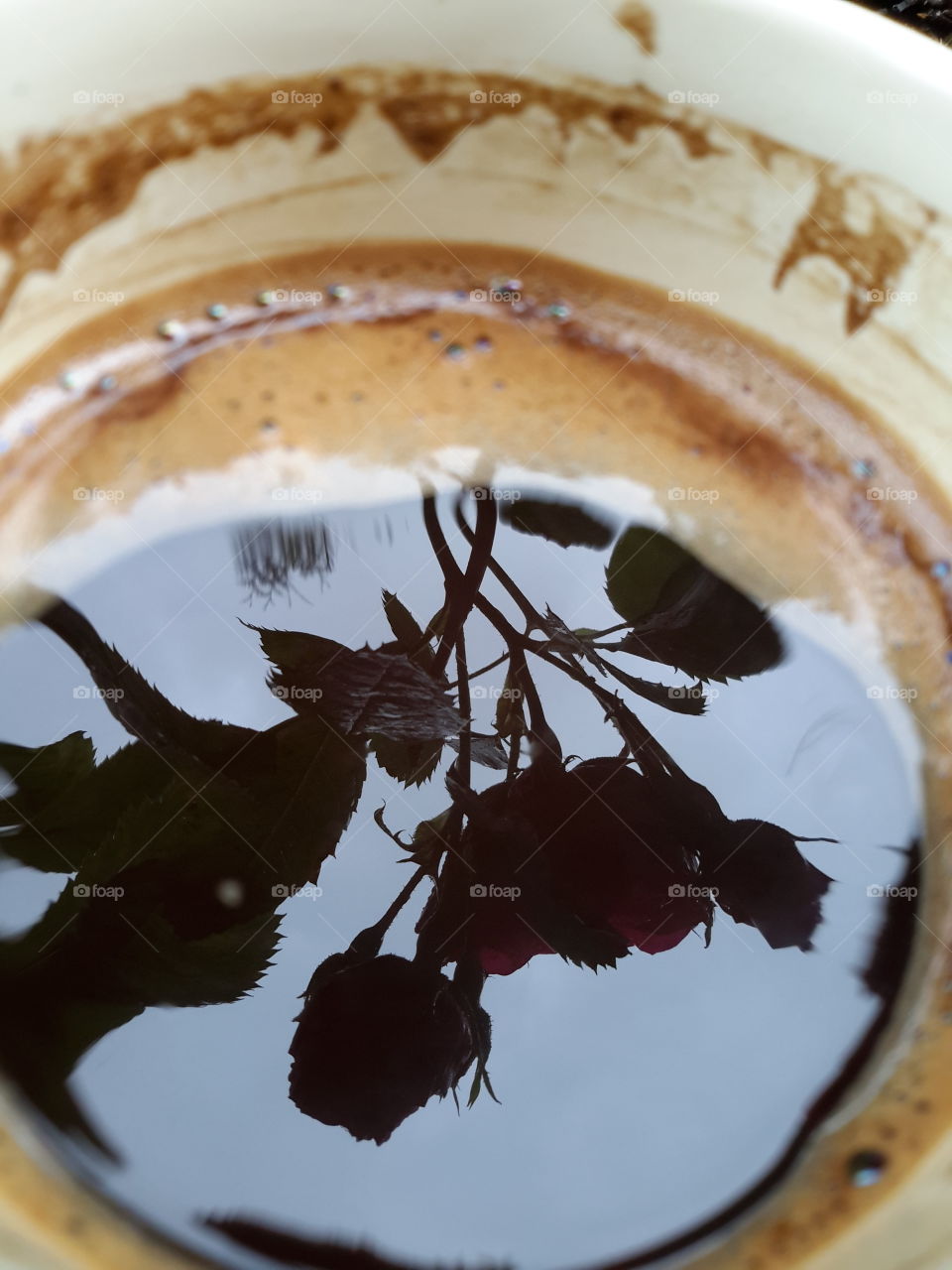 Roses in the coffe
