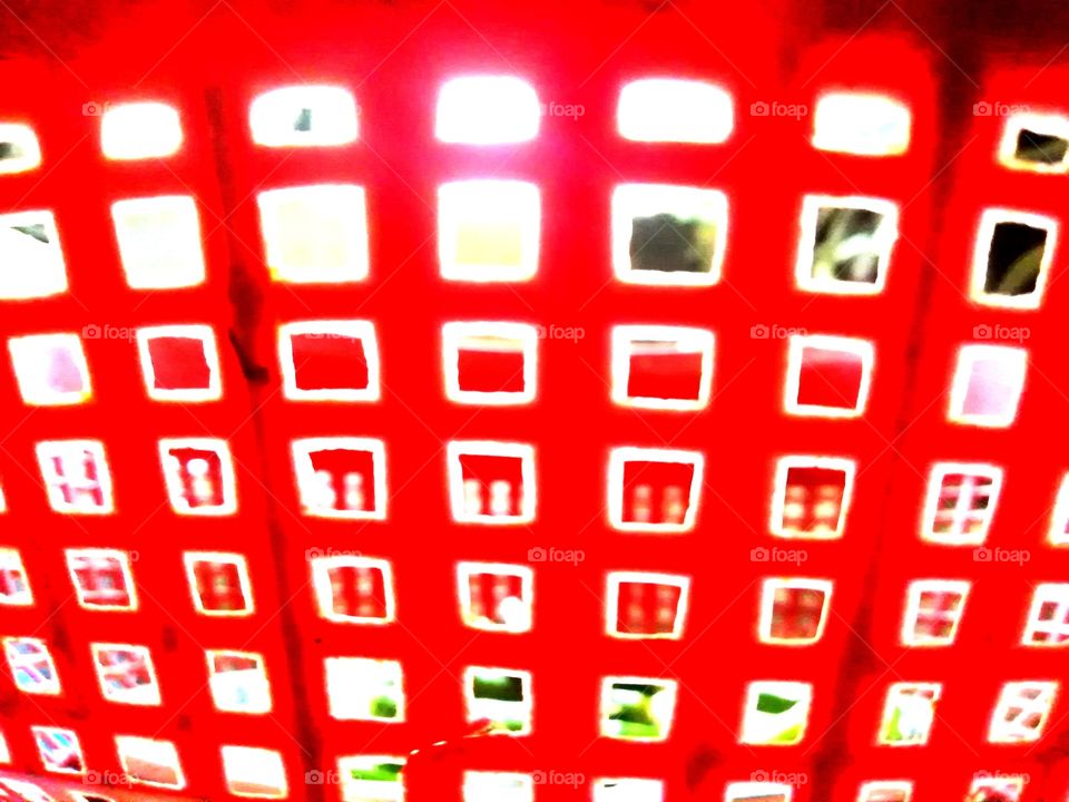 View from veg basket