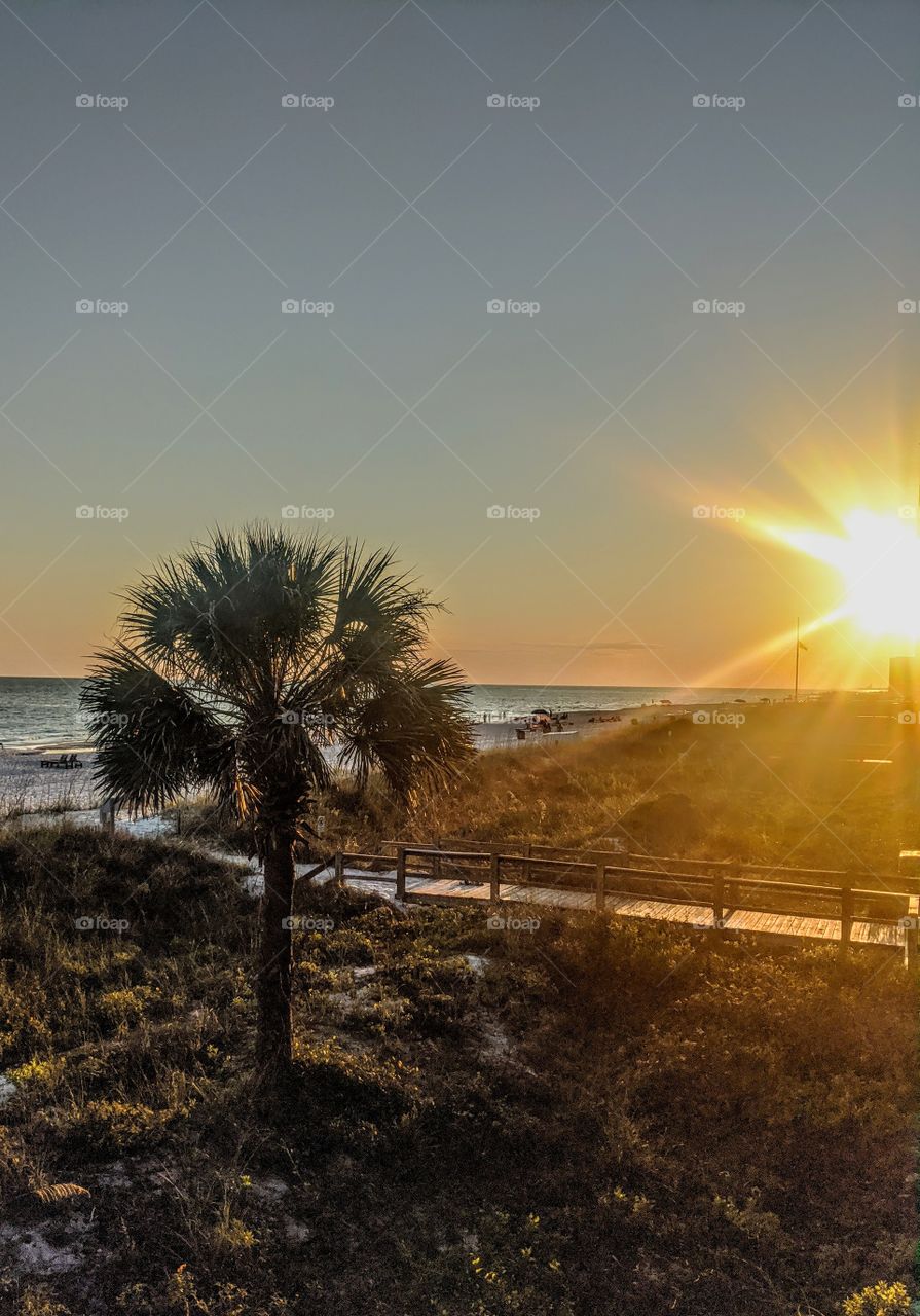beautiful summer sunset on the beach