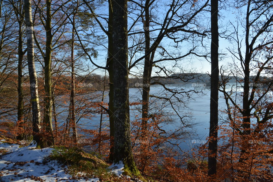 Winter in Skåne, Sweden