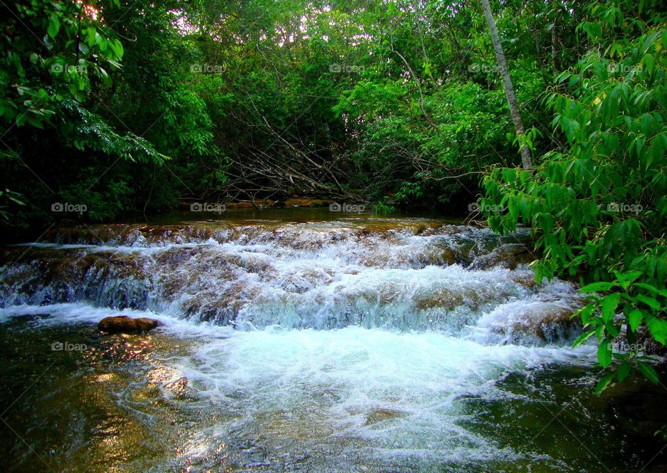 A small waterfall. A waterfall in the Pantanal 