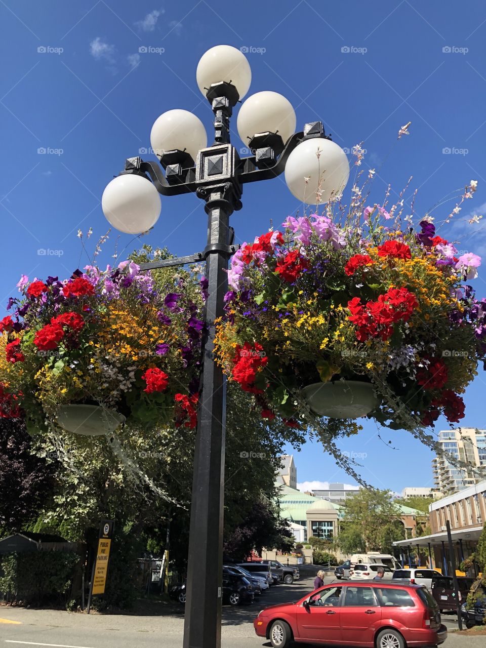 Beautiful Downtown Victoria Harbour Hanging Baskets