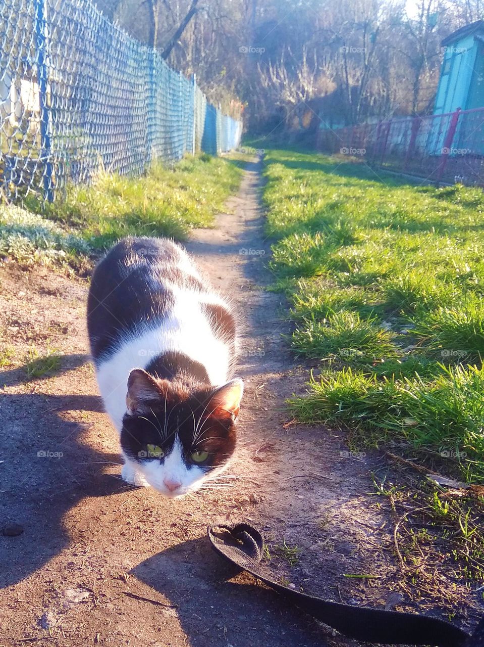 Come closer, little one. Only the courageous ones have a chance in this world!