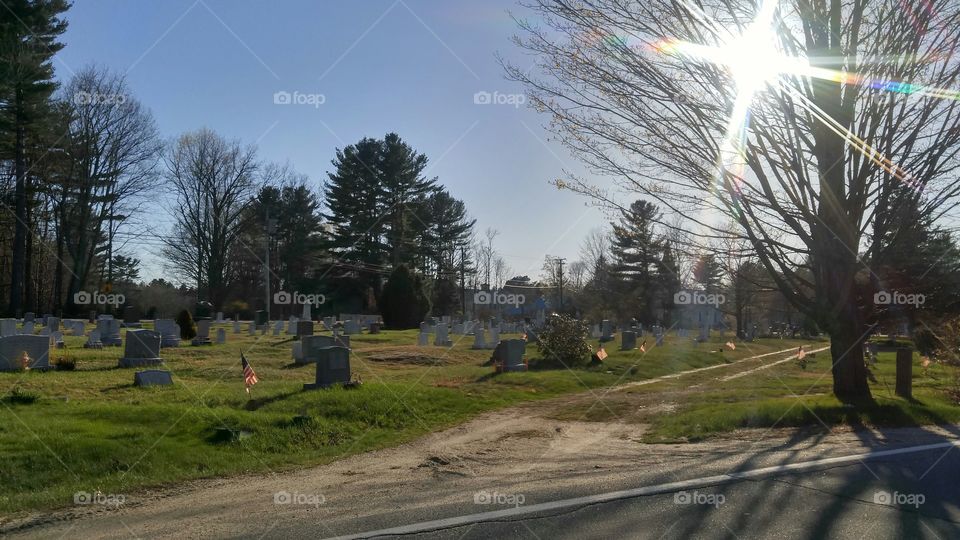 sun flare in a graveyard