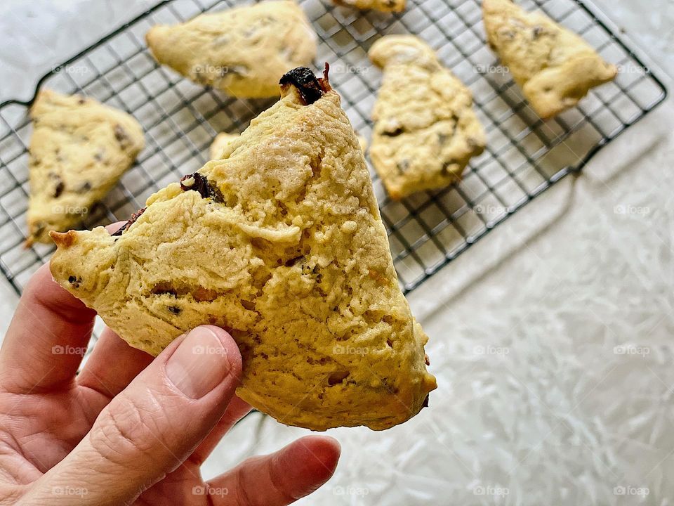 Woman’s hand holding orange cranberry scone, eating scones makes me happy, eating food makes me happy, happiness in food, scones and happiness, happiness in freshly baked scones 