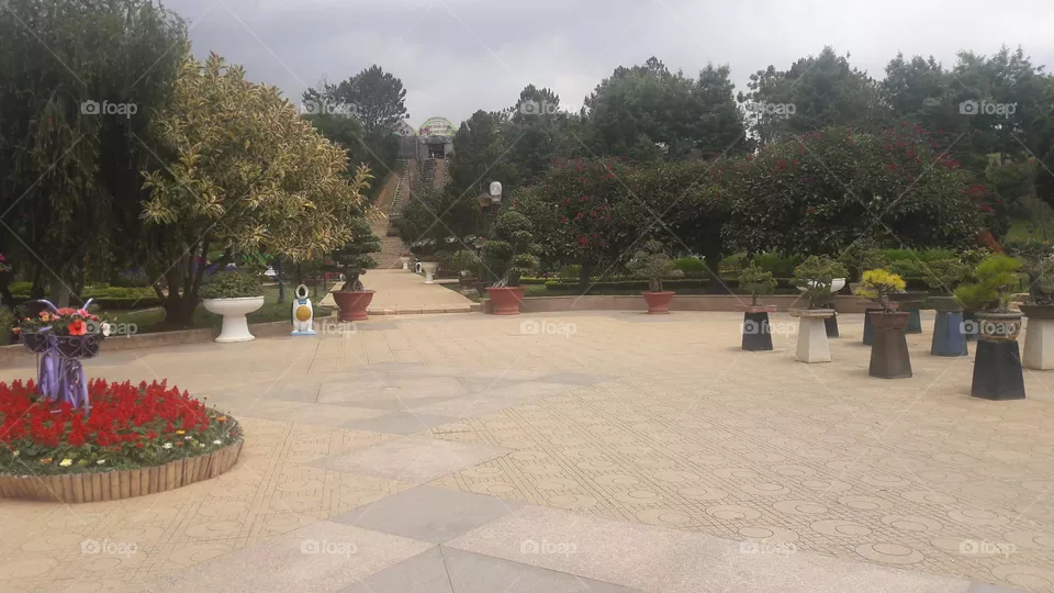 flower garden