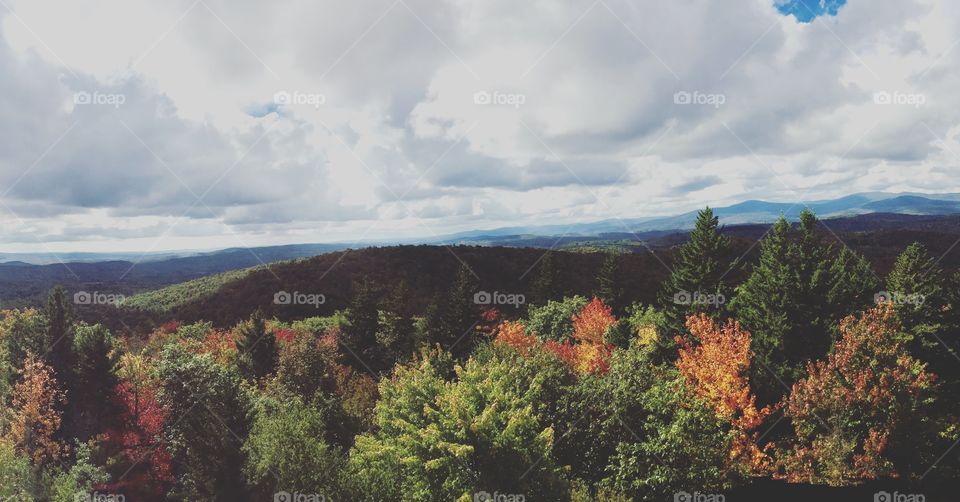 Vermont fall foliage 