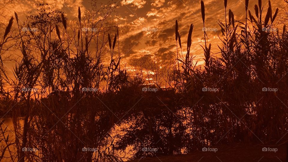 When you walk out the door headed to the spot of no return on a bright cloudy evening and the Colour Spectrum blowing up in your face. 