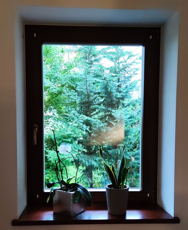 window view