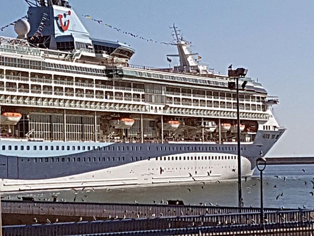cruise