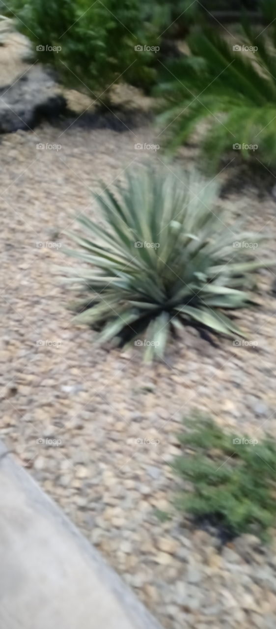 something really random