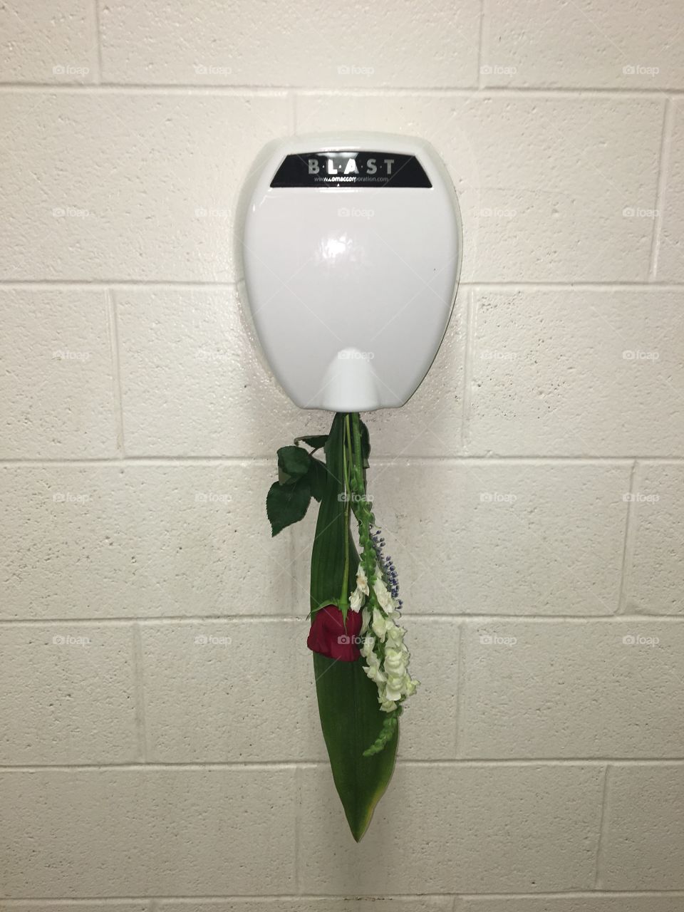 A little thing I did with some flowers in a school washroom