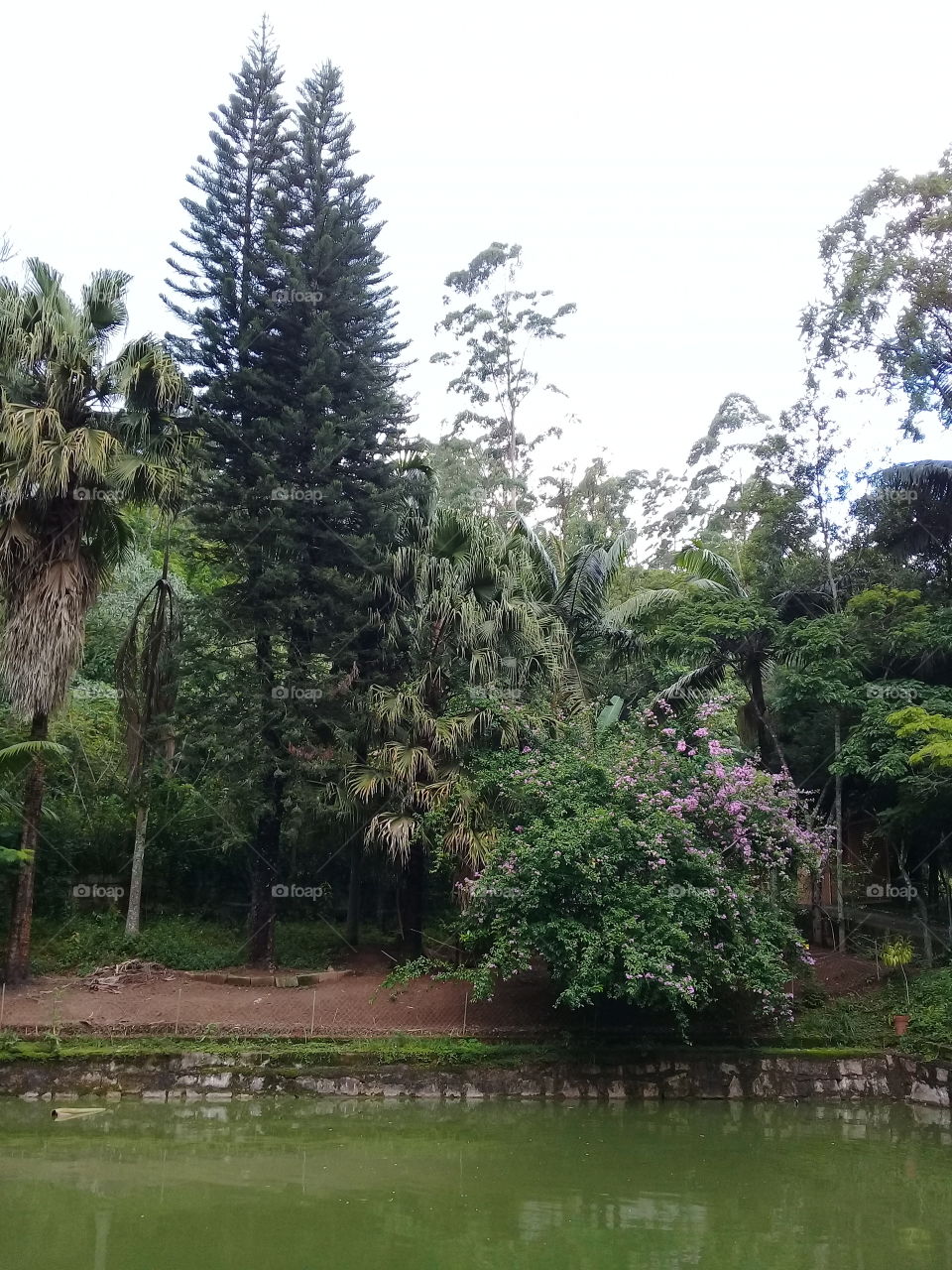 Uma paisagem cativante da Serra do Japi em um domingo passado. Como não sentir a inspiração da sempre generosa Mãe Natureza?