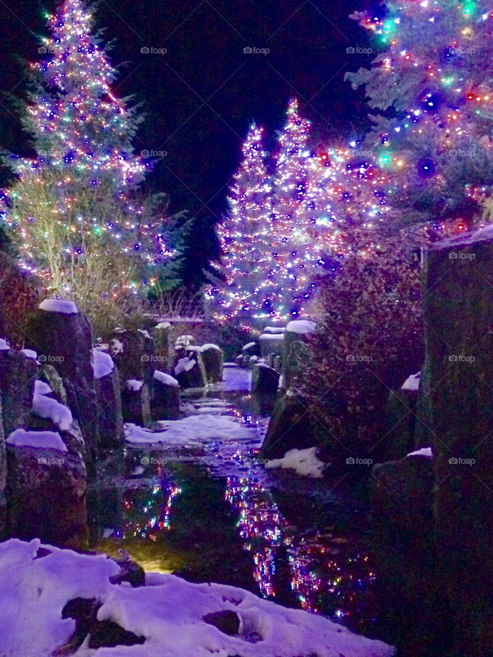 The festive Christmas spirit is alive at Whistler Mountain Ski Resort. Wandering through the village one night, this image caught my eye. I loved the reflection of the lights in the water below and highlighted against the snow.