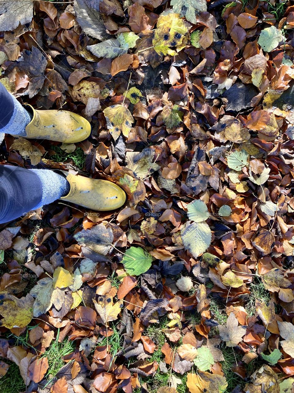 Welly weather🍁🍃 🍂🍃🍁🍃