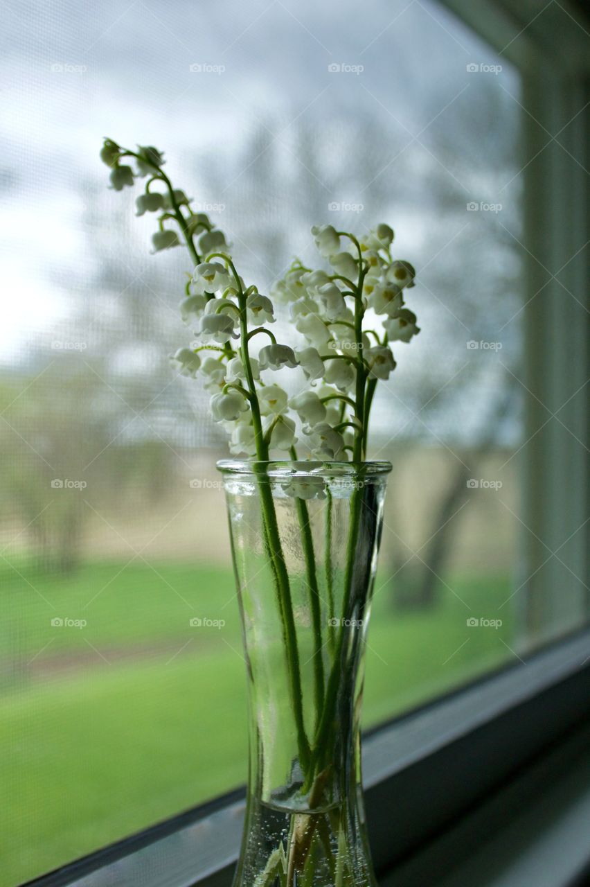 Lily of the Valley blossoms in a small glass vase on a white-painted windowsill with a view of a rural landscape in spring